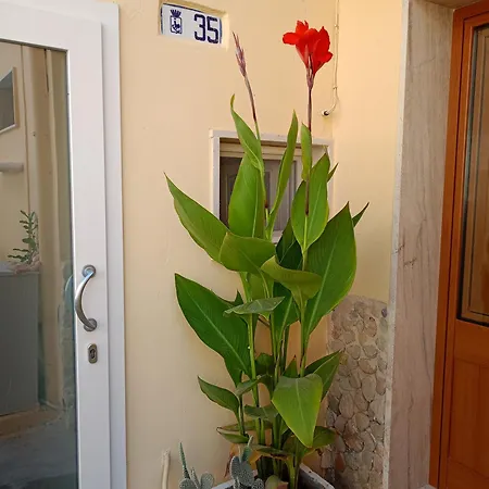 Marco Apartament Gallipoli