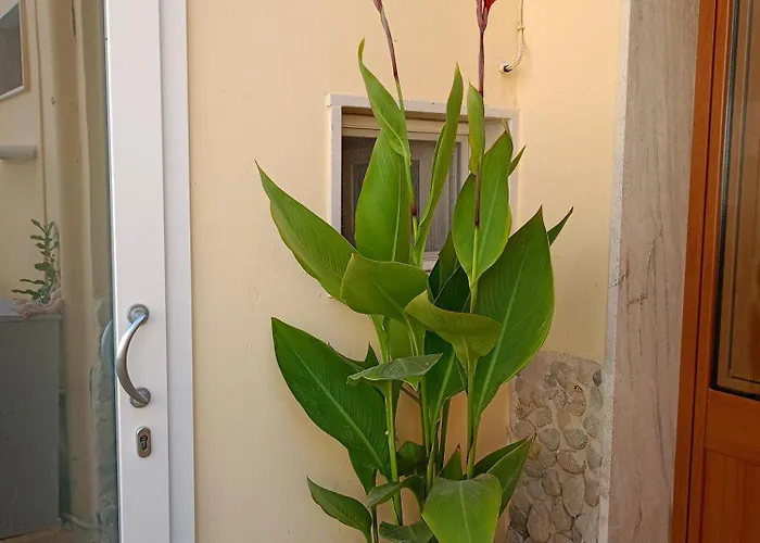 Marco Apartament Gallipoli